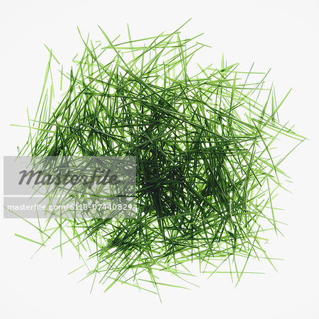 Pile of organic wheatgrass on a white background