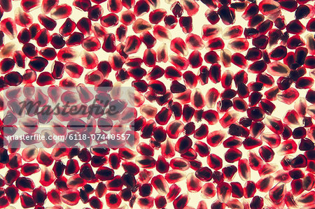 Organic pomegranate seeds Organic pomegranate seeds