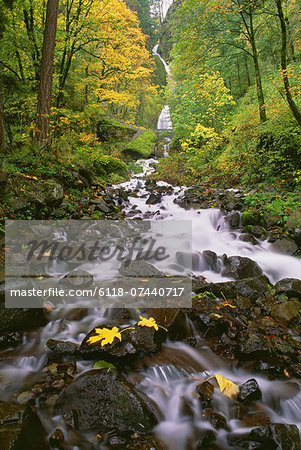 Wahkeena Falls. Water flowing down a valley in the Columbia River Gorge through woodland.