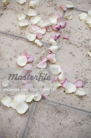 Fresh organic confetti, natural pink dried rose petals on the ground. Traditional wedding custom.