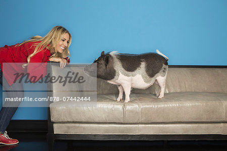 A woman in a red shirt with her pet, a domesticated pot bellied pig, standing on a sofa against a turquoise wall.