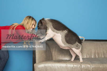 A woman in a red shirt with her pet, a domesticated pot bellied pig, standing on a sofa against a turquoise wall.