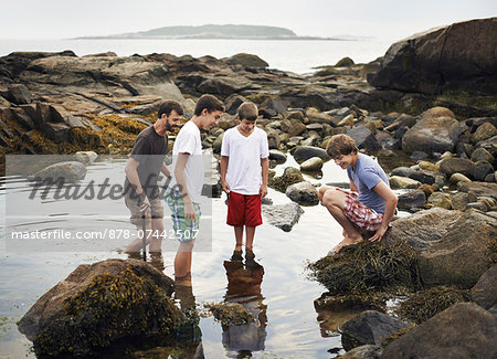 A small group of people standing in shallow water, rock pooling, finding marine life on the beach.
