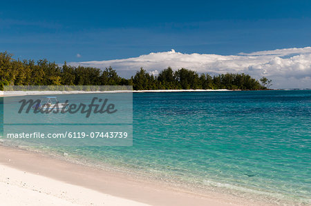 Denis Island, Seychelles, Indian Ocean, Africa