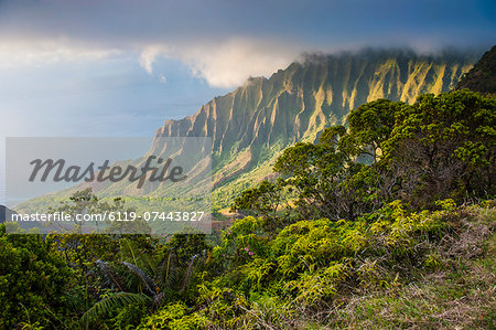 Kalalau lookout over the Napali coast from the Kokee State Park, Kauai, Hawaii, United States of America, Pacific