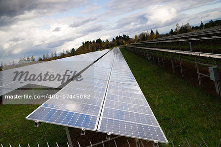 Solar energy is gaining popularity and a sun farm is shown here