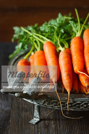 Fresh organic kitchen garden carrots on vintage plate close-up.