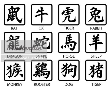 chinese zodiac on the white background
