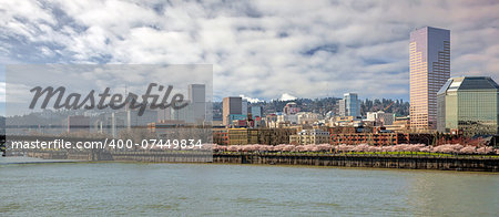 Cherry Blossom Trees Blooming in Spring Season Along Portland Oregon Downtown Waterfront with City Skyline Panorama