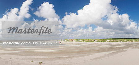 Dunes at a beach, Sankt Peter Ording, Eiderstedt Peninsula, Schleswig Holstein, Germany, Europe