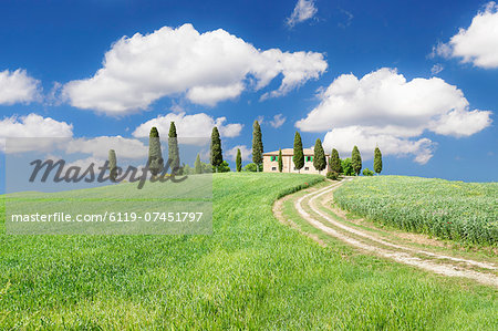 Farmhouse with cypress trees, near Pienza, Orcia Valley (Val d'Orcia), Siena region, Tuscany, Italy, Europe