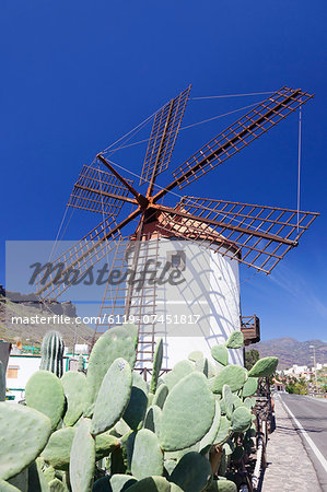 Windmill and cactus, Mogan, Gran Canaria, Canary Islands, Spain, Europe