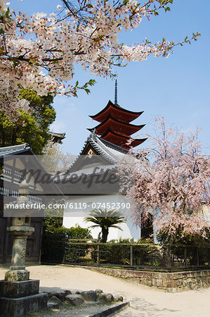 Spring cherry blossom at Senjokaku five storey pagoda, Miyajima island, UNESCO World Heritage Site, Honshu Island, Japan, Asia