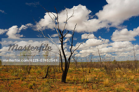 Outback scenery, Queensland, Australia, Pacific