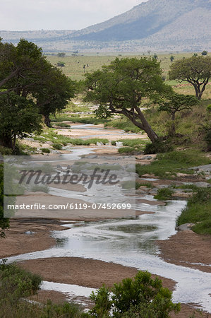 Masai Mara National Reserve, Kenya, East Africa, Africa
