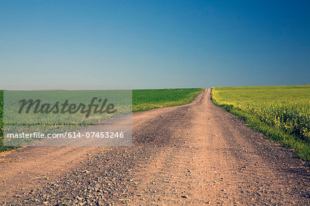 Dirt road through fields, Saint-Jean, Ile d'Orleans, Quebec