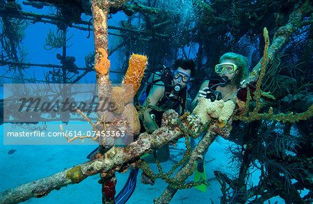 Scuba divers on shipwreck.