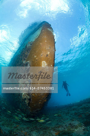 Diver and shipwreck.