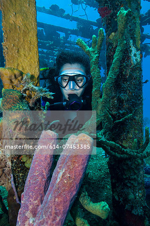 Diver on shipwreck.