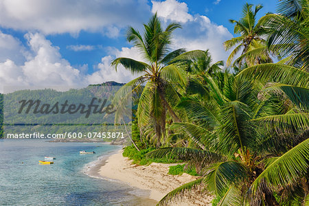 Anse Forbans Shoreline with Palm Trees, Mahe, Seychelles
