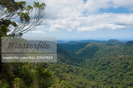 View over the Springbrook National Park, New South Wales, Australia, Pacific