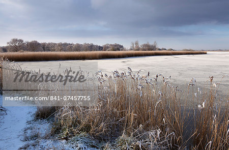 A cold winter day in the Norfolk Broads showing a frozen Horsey Mere, Horsey, Norfolk, England, United Kingdom, Europe