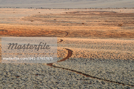 Early morning light on the track through the plains of NamibRand Nature Reserve, Namib Desert, Namibia, Africa