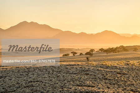 Sunrise in the NamibRand Nature Reserve, Namib Desert, Namibia, Africa
