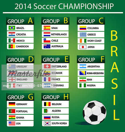 soccer championship 2014