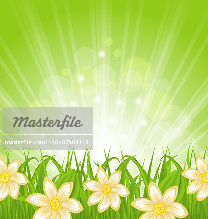 Illustration spring background with green grass and flowers - vector