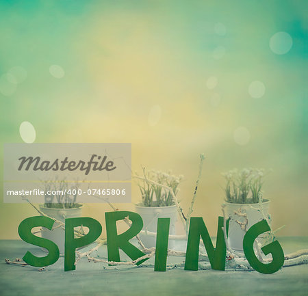 Spring background. Spring letters with flowers and blurred background. Spring concept.