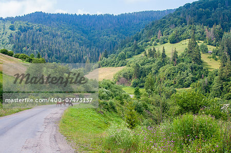 Landscape with forest mountains, Ukraine Karpathian