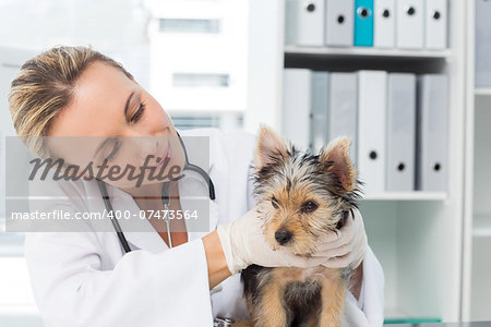 Confident female vet examining puppy in clinic
