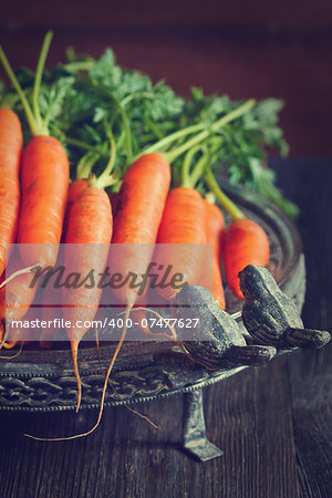 Fresh organic kitchen garden carrots on vintage plate. Toned photo.