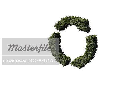 Recycling symbol made of leaves on white background