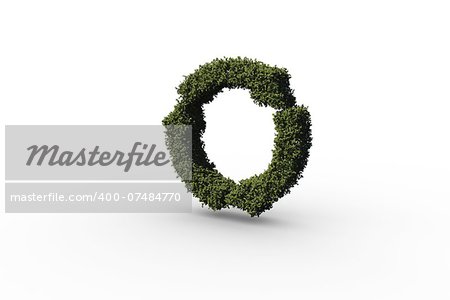 Recycling symbol made of leaves on white background