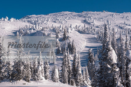 Snow Covered Trees, Big White Mountain, Kelowna, British Columbia, Canada