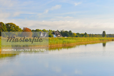 Shoreline with Reeds, Born auf dem Darss, Barther Bodden, Fischland-Darss-Zingst, Mecklenburg-Vorpommern, Germany