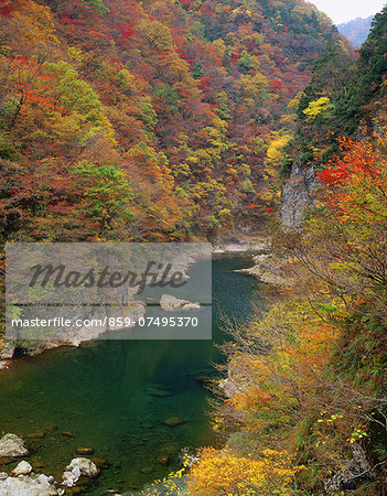 Autumn colors, Japan