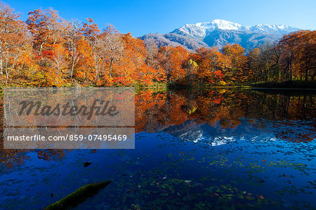 Autumn colors