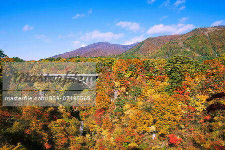 Autumn colors, Japan