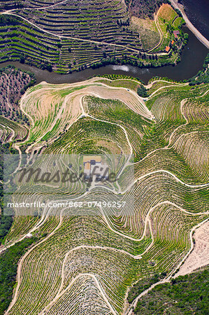 Europe, Portugal, Tras-os-Montes e Alto Douro, Douro Valley aerial view of vineyards and vineyard terraces and the Douro (Duero) river in the UNESCO World Heritage listed Alto Douro region