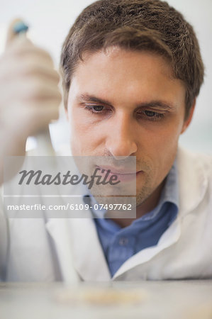 Concentrated male scientist using a pipette in a laboratory