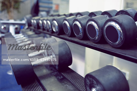 Dumbbells on shelf in weights room of gym