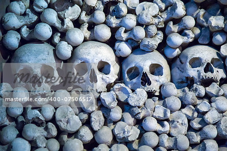 Human skulls and bones