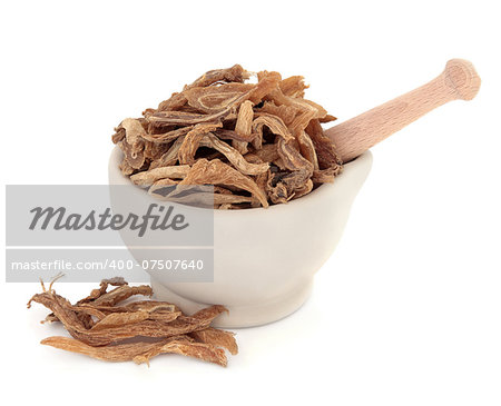 Stemona root chinese herbal medicine in a stone mortar with pestle over white background. Bai bu.