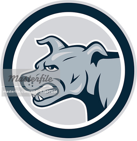 Illustration of an angry barking mastiff dog mongrel viewed from side set inside circle on white background done in cartoon style.