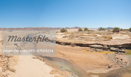 Small desert stream running through an oasis in arid desert landscape