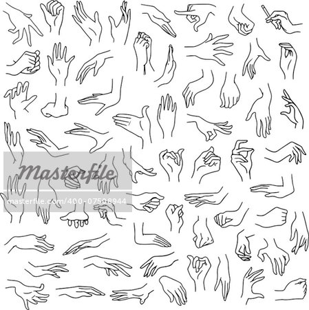 Vector illustration line art pack of woman hands in various gestures.