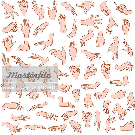 Vector illustrations pack of woman hands in various gestures.